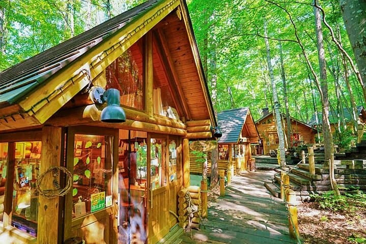 Asahiyama Zoo, Blue Pond, Shirahige Falls/Ningle Terrace Day Tour
