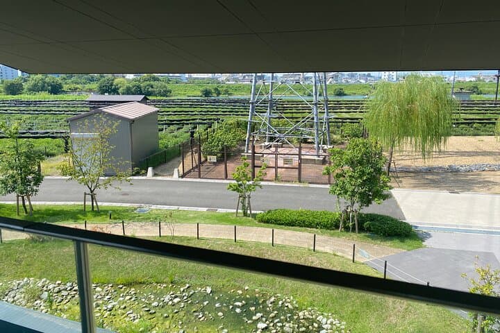 Kyoto Walking Series: Green Tea and Aristocratic Culture in Uji — photo 4