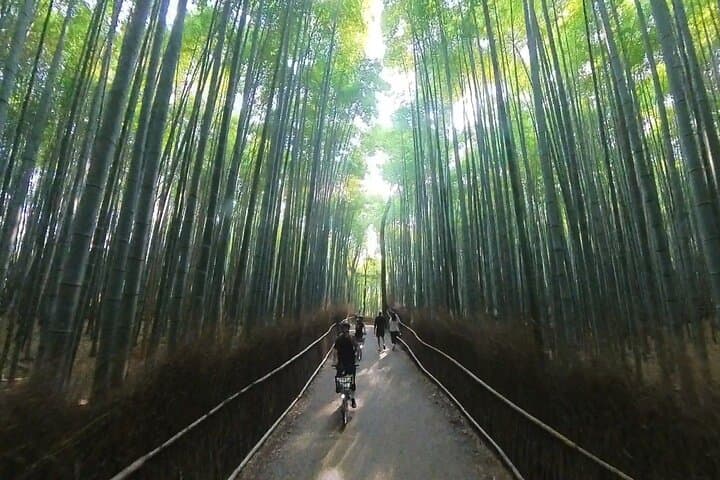 ONLY YOU in the Bamboo Forest! 4 hours E-bike tour with a local — photo 3