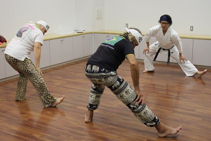 Tokyo: Karate Experience with Former All-Japan Champion — photo 20