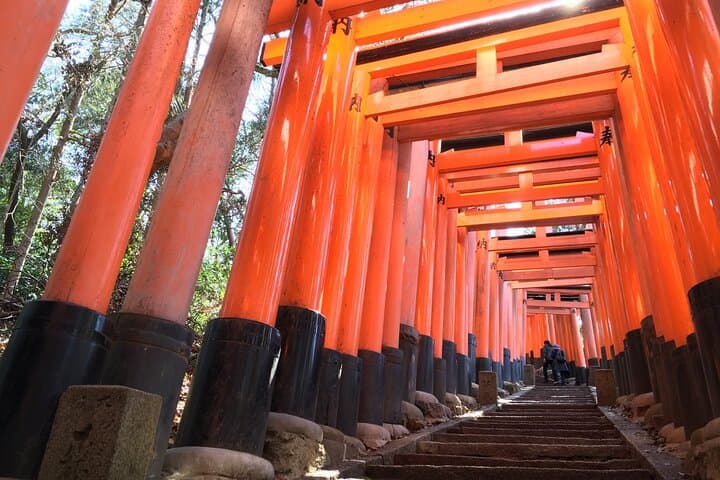 Kyoto Private Tour with National Licensed Guide from Osaka — photo 20
