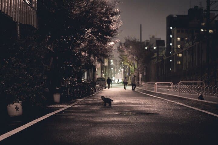 Osaka Dark Side Night Walking Tour in Shinsekai — photo 12