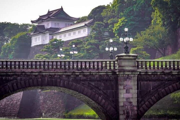 Tokyo Full Day Customize Private Tour with English Guide — photo 16