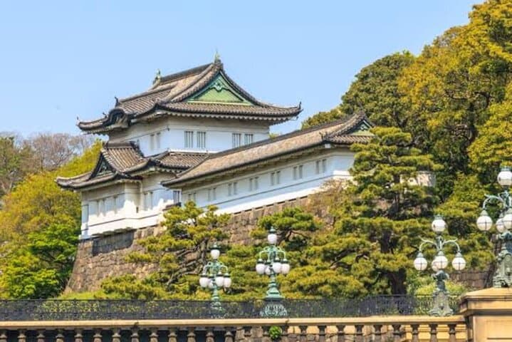 Tokyo Full Day Customize Private Tour with English Guide — photo 17