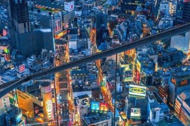 Tokyo Full Day Customize Private Tour with English Guide — photo 19