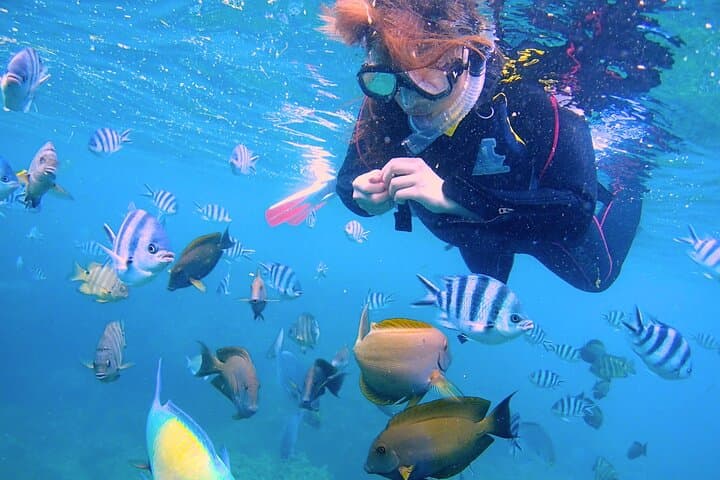 Blue Cave Boat Snorkeling — photo 2