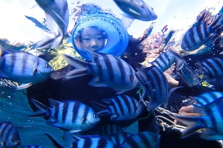 Blue Cave Boat Snorkeling — photo 3