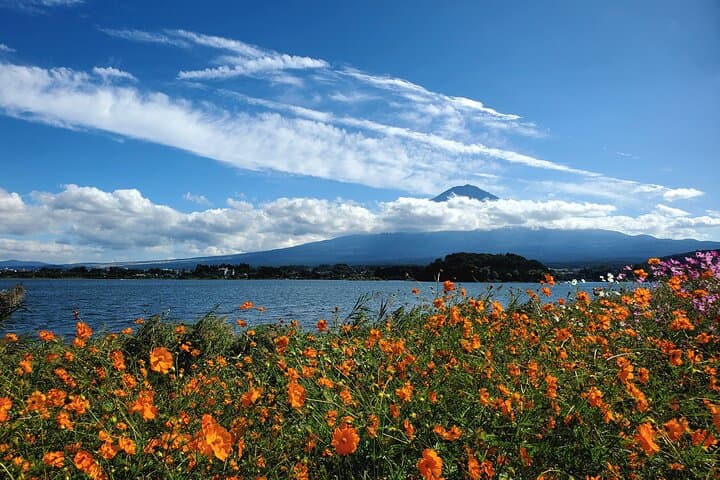 Mount Fuji Full-Day Private Tour from Yokohama Customizable — photo 5
