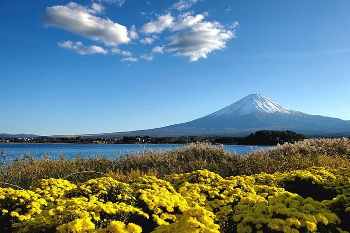 Mount Fuji Five Lakes Private Tour (Customizable) — photo 1