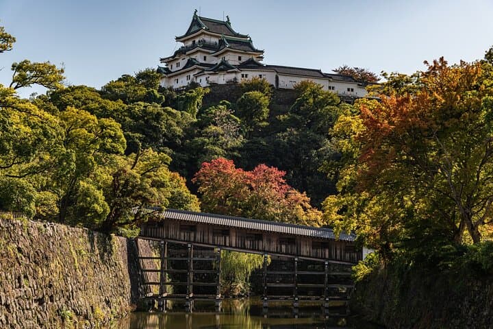 Historic Wakayama City Walking Tour — photo 2