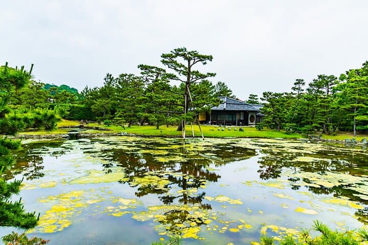 Day Trip Wakayama Tour from Osaka — photo 7