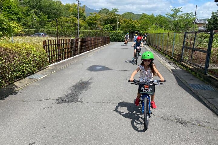 Arashiyama Bamboo Forest Family Bike Tour ( Infants & Kids ) — photo 12