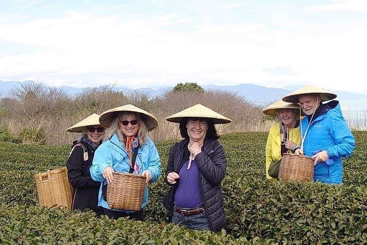 Private Shizuoka Tour from Shizuoka Station /Small Bus — photo 4