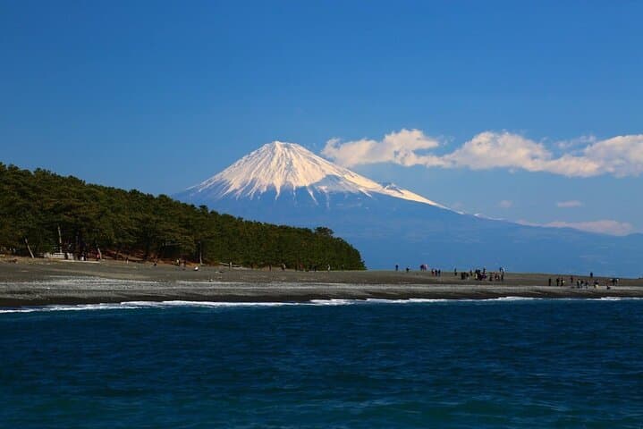 Private Shizuoka Tour from Shizuoka Station /Small Bus — photo 9