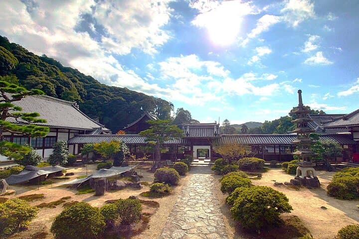 Slow Cycling Tour at Uji's Matcha Green Tea Fields and Heritage — photo 9