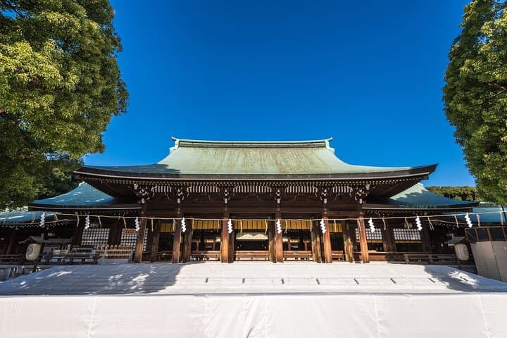 Tokyo: Meiji Shrine Walking Tour — Shintoism & Imperial System — photo 3
