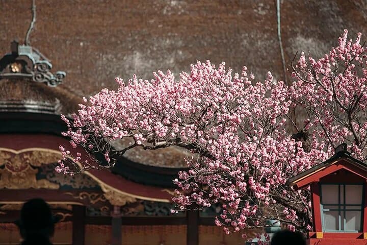 Kyushu Aso Volcano Kusasenri Kurokawa Onsen Day Tour from Fukuoka — photo 15