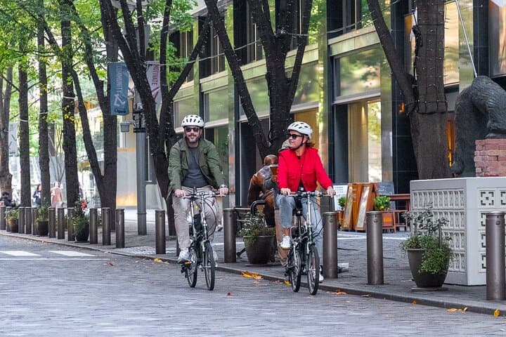 3-Hour Tokyo Private E-Bike Tour Starting from Your Hotel — photo 2