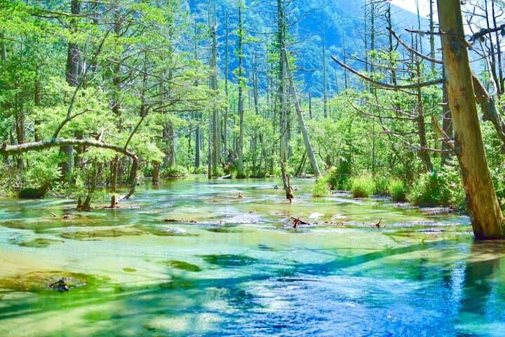 Private Shinhotaka Ropeway and Kamikochi Tour — photo 5