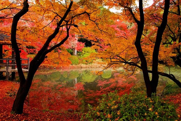 Customizable Kyoto World Heritage Tour Full Day — photo 5