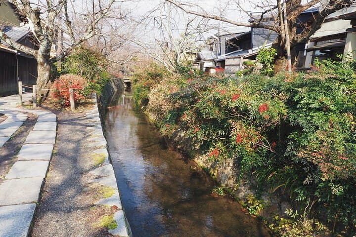 Customizable Kyoto World Heritage Tour Full Day — photo 8