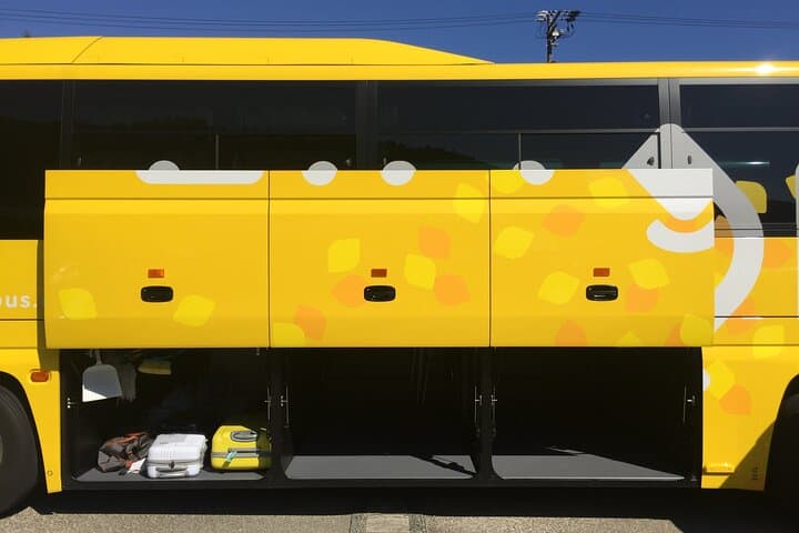 One Way Bus: Tokyo to Kawaguchiko or Matsumoto via Oshino Hakkai — photo 4