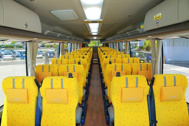 One Way Bus: Tokyo to Takayama via Oshino Hakkai — photo 5