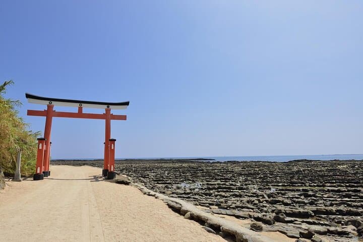 1 Day Private Tour to Miyazaki Nichinan — photo 5