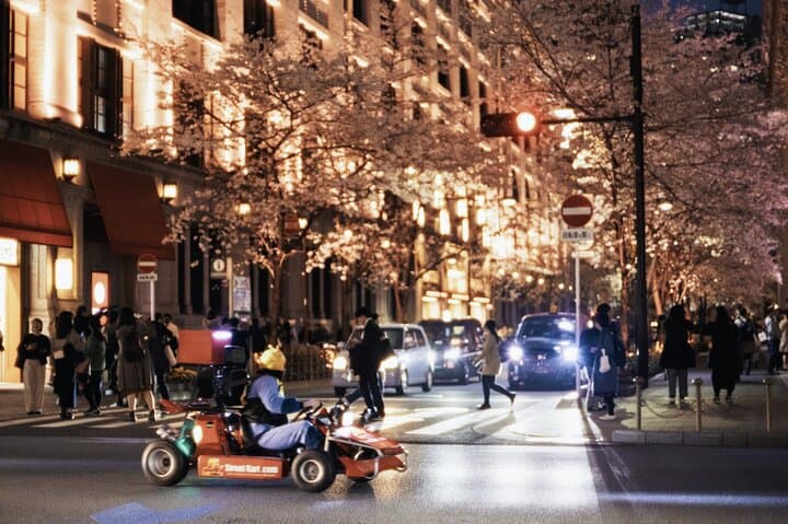 Official Street Go-Kart Tour - Akihabara — photo 3
