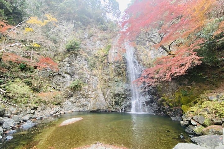 Osaka 8 Hours Tour Explore City and Minoh Falls — photo 7