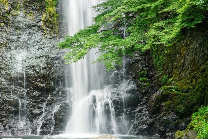 Osaka 8 Hours Tour Explore City and Minoh Falls — photo 5