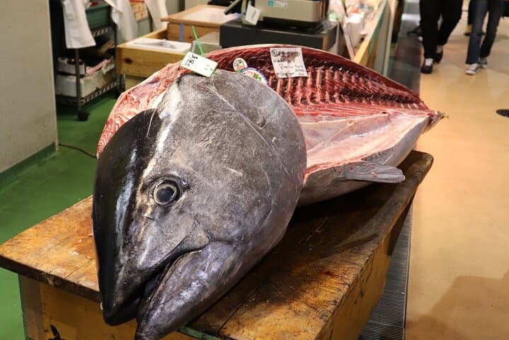 Tuna Auction in Toyosu and Tsukiji Fish Market Tour — photo 16