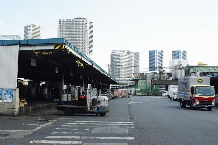 Tuna Auction in Toyosu and Tsukiji Fish Market Tour — photo 19