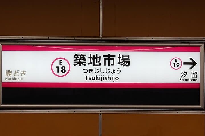 Tuna Auction in Toyosu and Tsukiji Fish Market Tour — photo 11