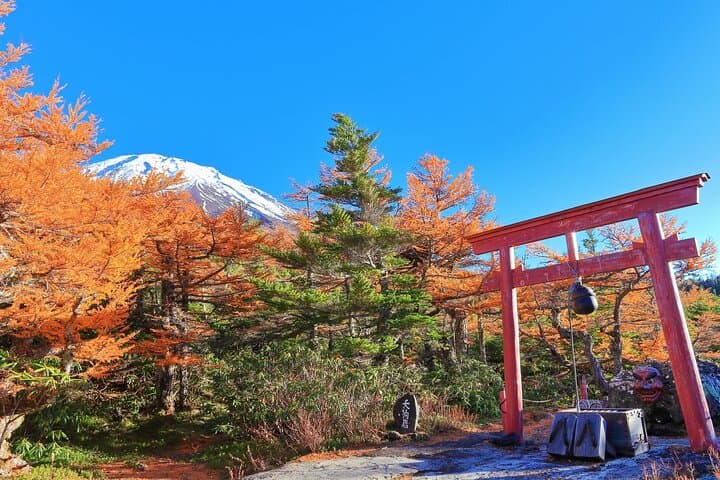 One Way Bus: Tokyo to Takayama via Oshino Hakkai — photo 3