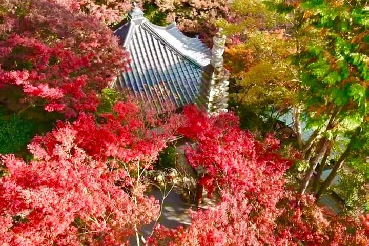 Yufuin, Beppu Hell Tour with Lake and Temple from Fukuoka — photo 6
