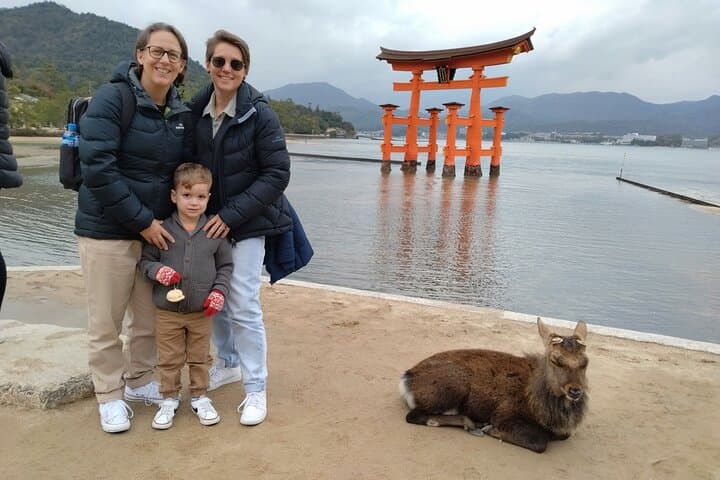 4 Hour Miyajima PRIVATE Tour — photo 14