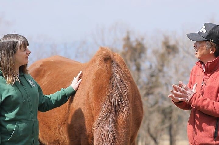 Pasture Hike with Horse Whisperer at Horse Trust in Kagoshima — photo 3