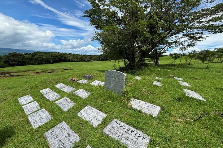 Pasture Hike with Horse Whisperer at Horse Trust in Kagoshima — photo 5