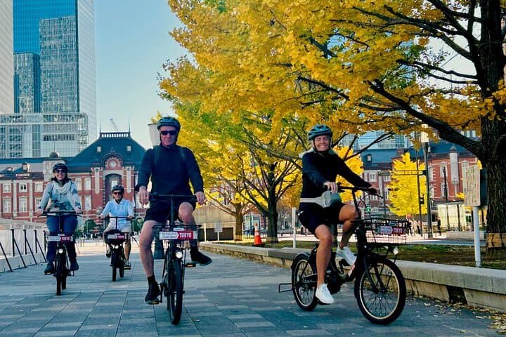 Explore Tokyo’s Must-See Spots by E-Bike – Small Group 3h Tour — photo 17