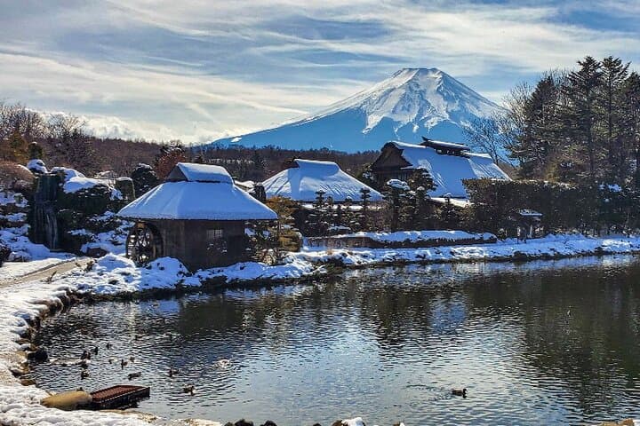 Tokyo: Mt. Fuji, Oshino Hakkai and Gotemba Outlets 1-Day Bus Tour — photo 11