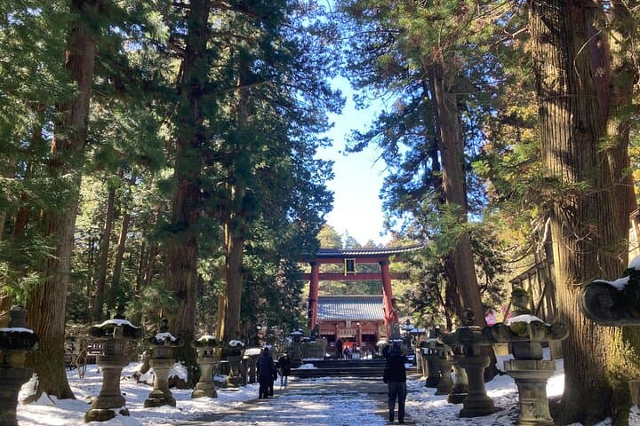 Tokyo: Mt. Fuji, Oshino Hakkai and Gotemba Outlets 1-Day Bus Tour — photo 8