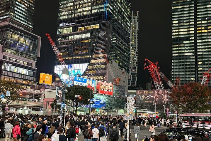 Tokyo: Shibuya Highlights Walking Tour & Secret View Spot — photo 12