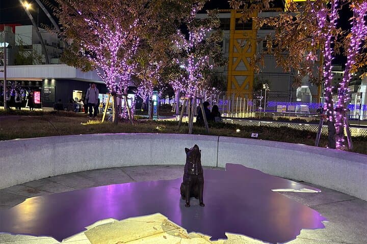 Tokyo: Shibuya Highlights Walking Tour & Secret View Spot — photo 16