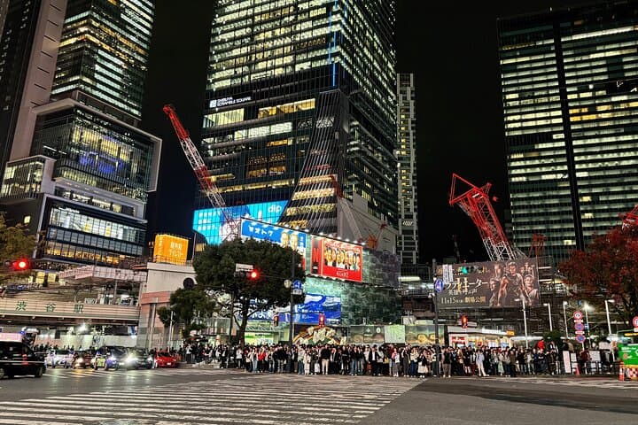Tokyo: Shibuya Highlights Walking Tour & Secret View Spot — photo 10