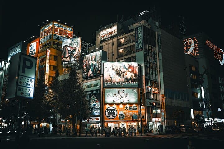 Dynamic Tokyo Private Custom Walking Tour — photo 11