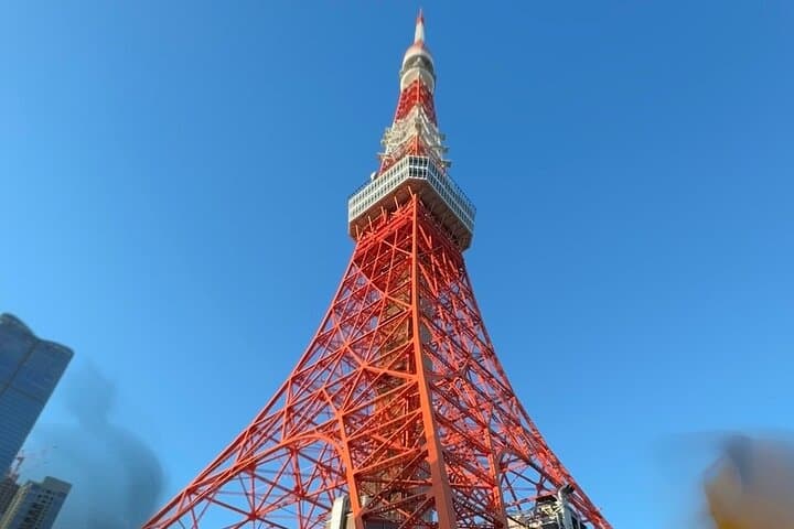 Dynamic Tokyo Private Custom Walking Tour — photo 2