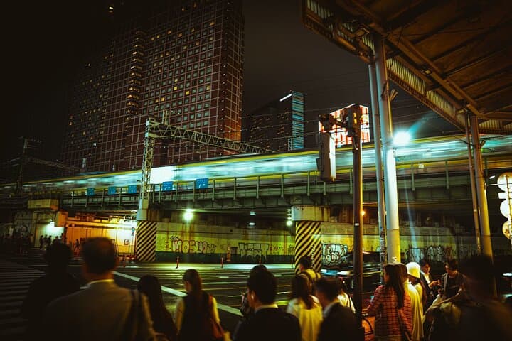 Dynamic Tokyo Private Custom Walking Tour — photo 13