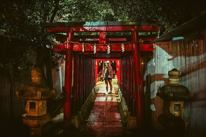Dynamic Tokyo Private Custom Walking Tour — photo 4