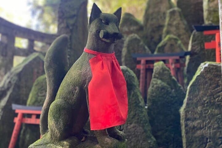Inside of Fushimi Inari - exploring and lunch with locals — photo 18